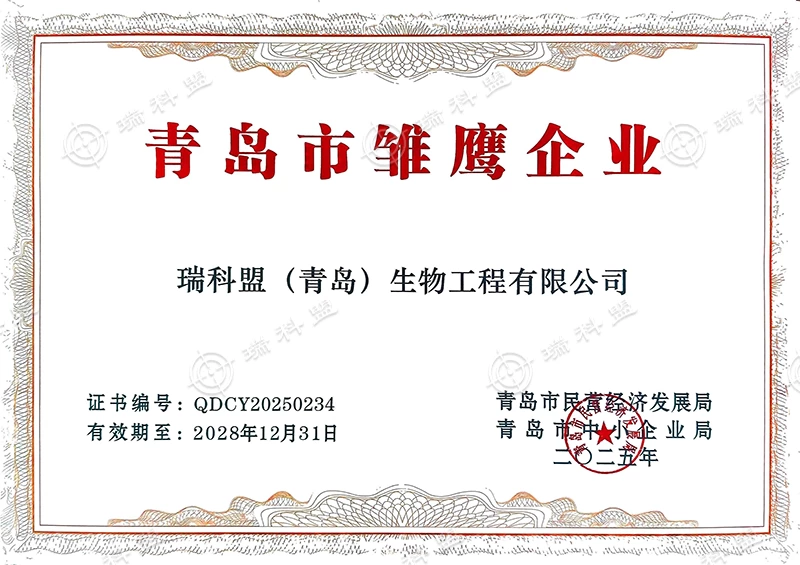 瑞科盟雏鹰企业