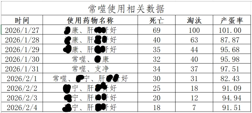 润达常噬用于蛋鸡细菌性疾病混合感染防控成功案例