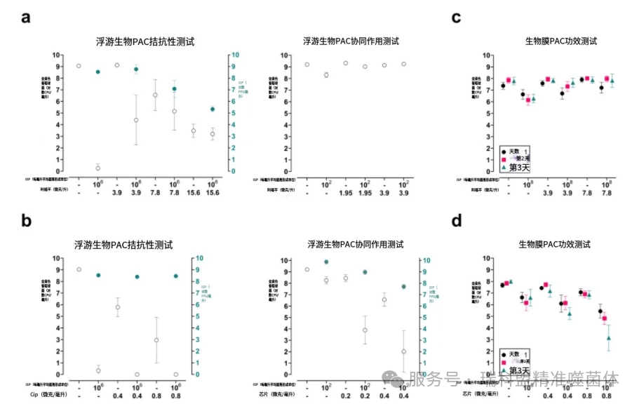 【文献快览】游离细菌测试,能否成为噬菌体-抗生素“黄金搭档”的预筛利器?