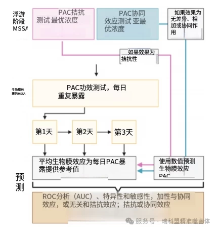 【文献快览】游离细菌测试,能否成为噬菌体-抗生素“黄金搭档”的预筛利器?