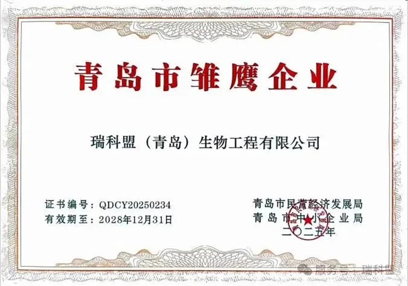 【喜报】载誉前行再获殊荣！瑞科盟获评“2025年度青岛市雏鹰企业”！