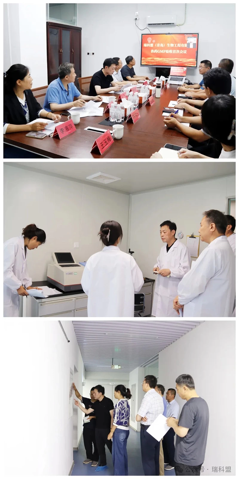 喜报 || 热烈祝瑞科盟（青岛）生物工程有限公司兽药GMP验收通过